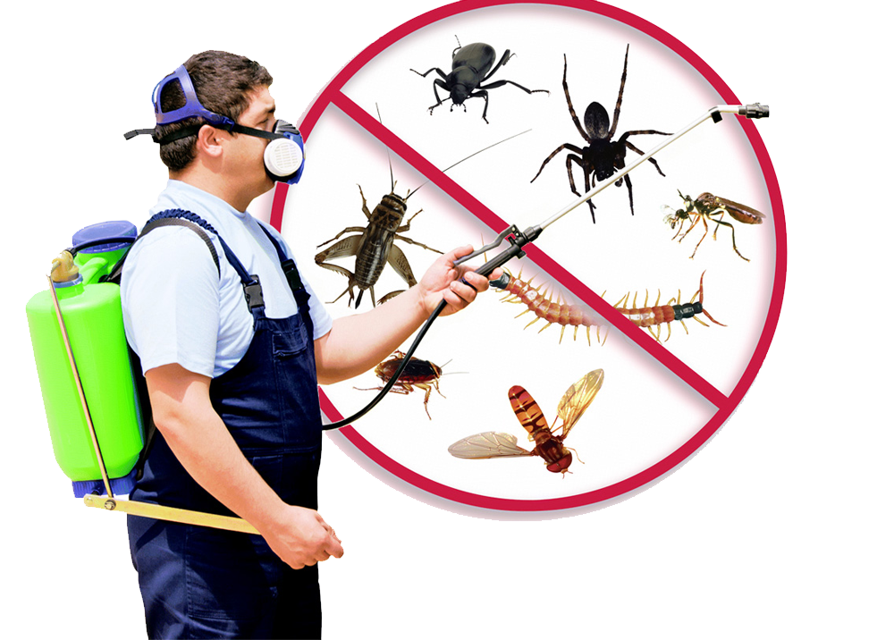 pest-control-png-hd-post1-1000